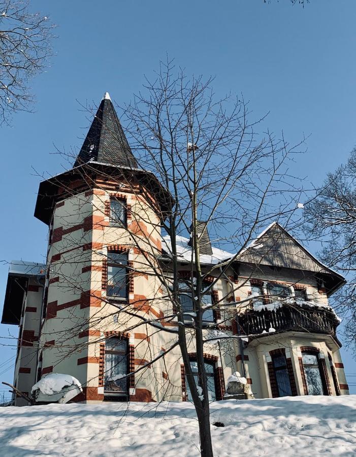 Turmvilla Vogtland Oelsnitz  Екстер'єр фото