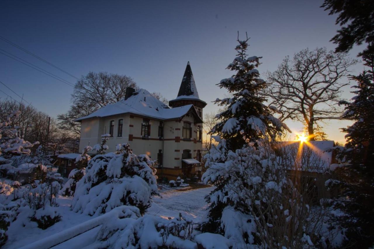 Turmvilla Vogtland Oelsnitz  Екстер'єр фото