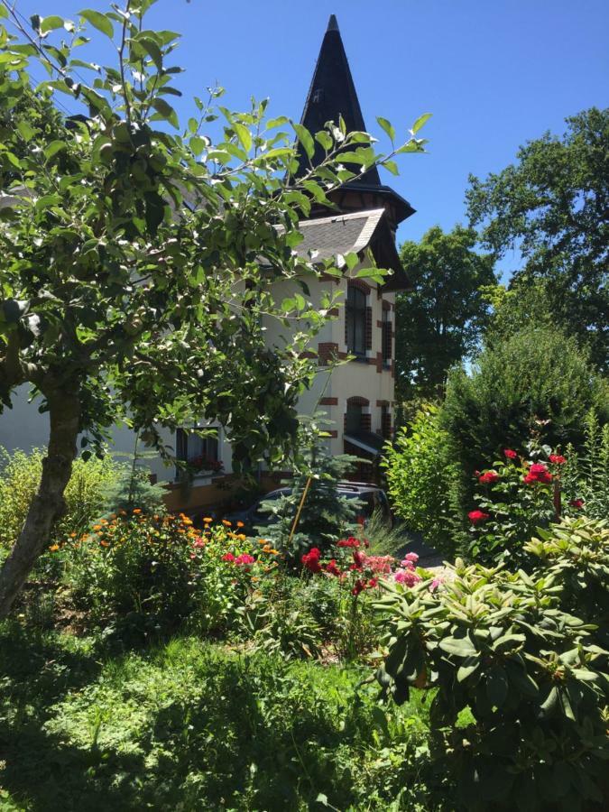 Turmvilla Vogtland Oelsnitz  Екстер'єр фото