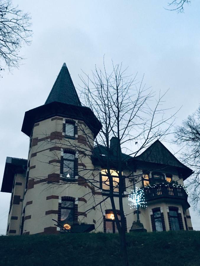 Turmvilla Vogtland Oelsnitz  Екстер'єр фото